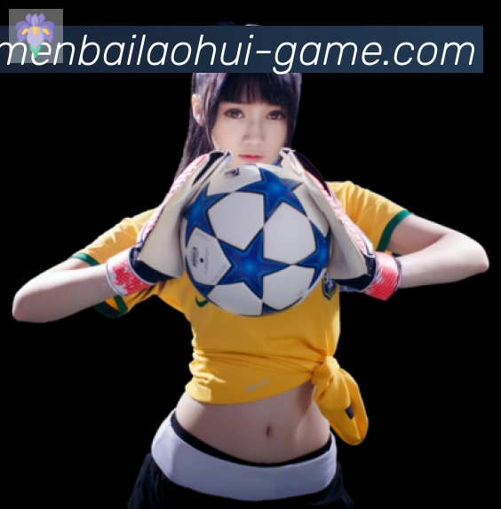 互动解说服务